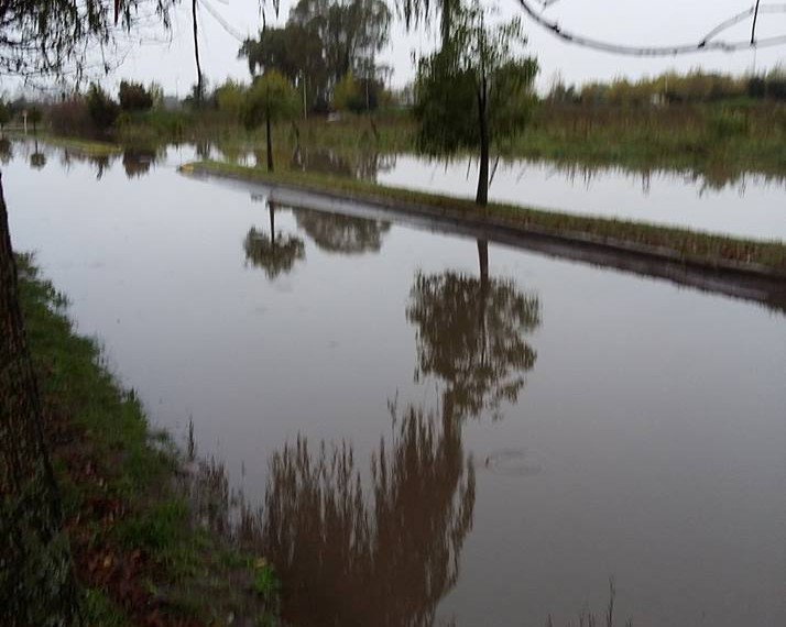 18581621_10203320037999832_2351822331472041318_n