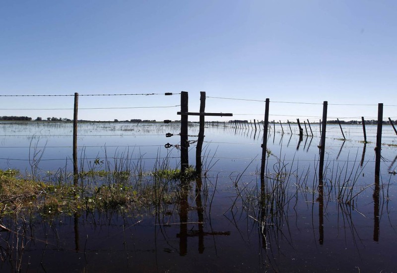 Atención productores afectados por inundaciones