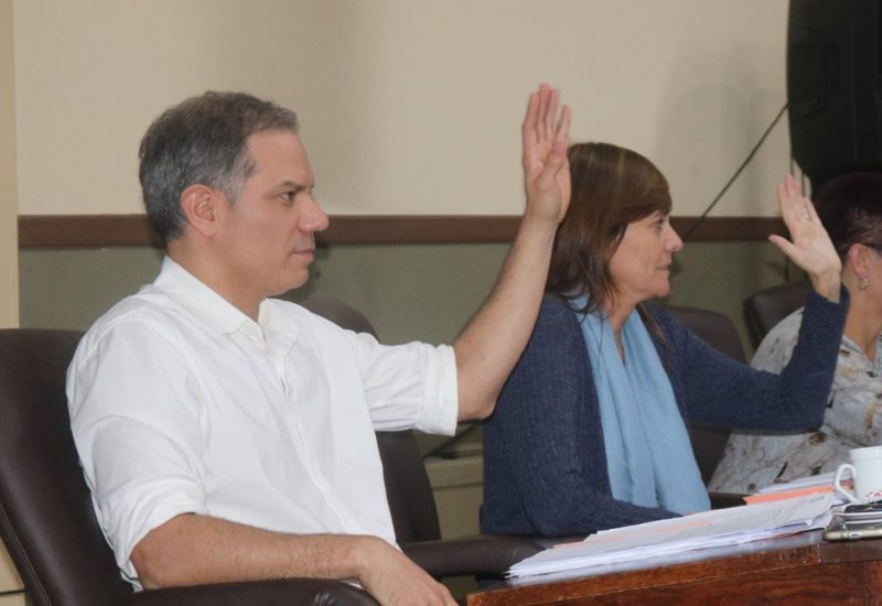 Concejales de Unidad Ciudadana presentaron varios proyectos en el HCD