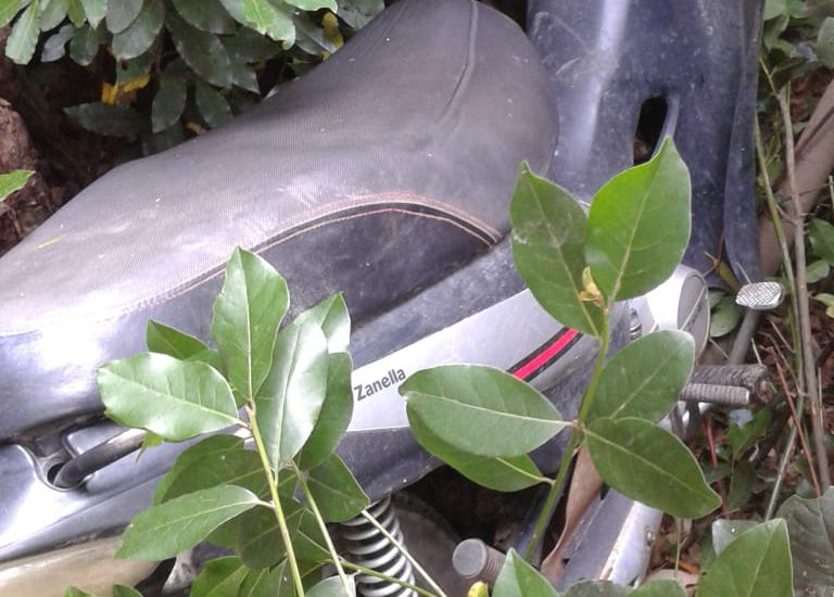 Policía recuperó moto que había sido robada esta madrugada