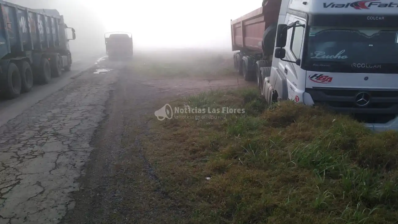 CamionDespiste